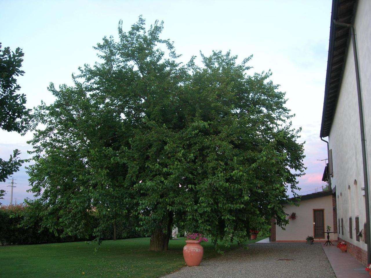 Agriturismo Campass Castelvetro Piacentino Ngoại thất bức ảnh